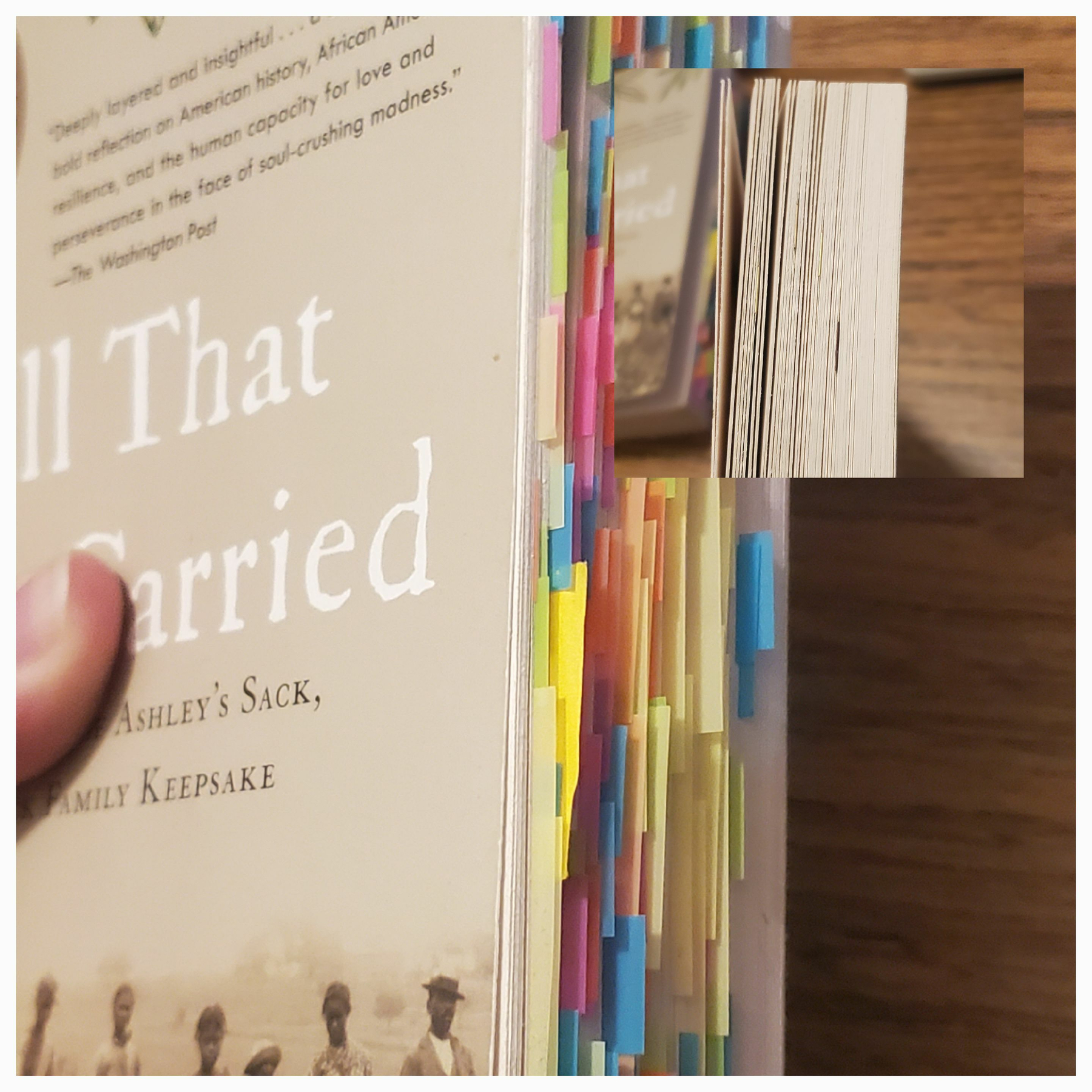All That She Carried by Tiya Miles is one of my cherished colorful porcupines! In the corner is a recently read book with bookdarts at chapters.